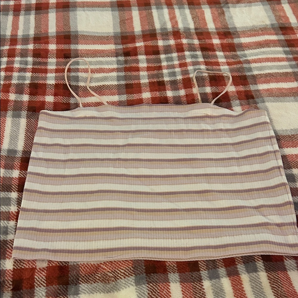 American Eagle Outfitters Purple and Tan Striped Top